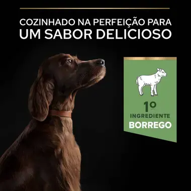 PRO PLAN Cão Grande Atlético Adulto com Digestão Sensível Rico em Borrego