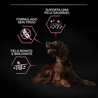 PRO PLAN Cão Adulto Porte Grande e Atlético Pele Sensível Rico em Salmão