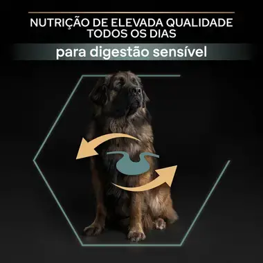 PRO PLAN Cão Adulto Porte Grande e Robusto Digestão Sensível Rico em Borrego