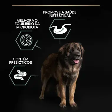 PRO PLAN Cão Adulto Porte Grande e Robusto Digestão Sensível Rico em Borrego