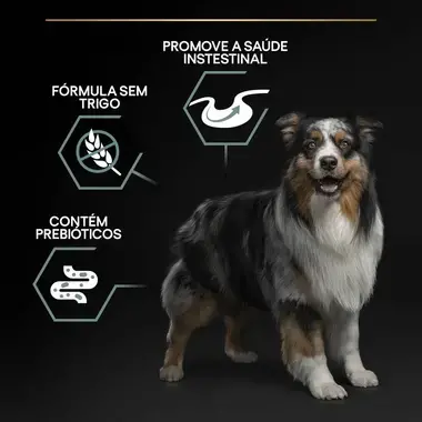 PRO PLAN Cão Adulto Porte Médio e Grande Digestão Sensível Grain Free Rico em Peru