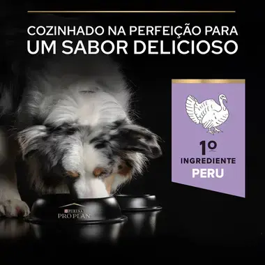 PRO PLAN Cão Adulto Porte Médio e Grande Digestão Sensível Grain Free Rico em Peru