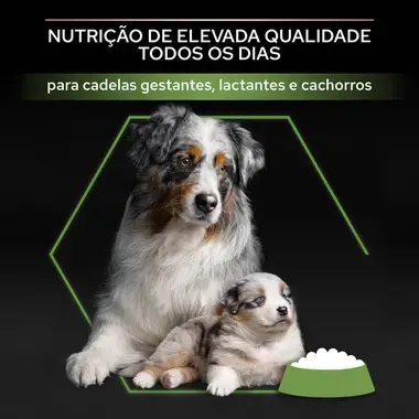 PRO PLAN Small & Medium Puppies & Mother Starter Rico em Frango