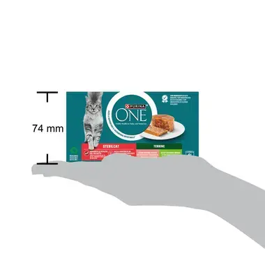 Purina ONE Terrine Sterilcat Salmão_Peru 4x85g
