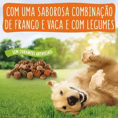 3010470154469, 3010470154483, 7613287238504, 7613287237088, 7613287237101 FRISKIES BALANCE Frango - Seco Cão