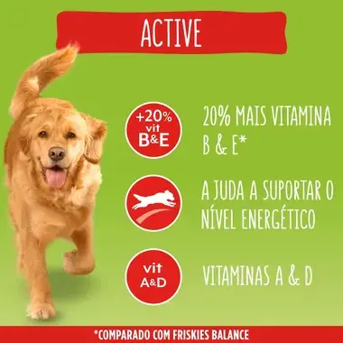 3010470154476, 3010470154490, 7613287238290, 7613287237071, 7613287236852 FRISKIES ACTIVE Vaca - Seco Cão