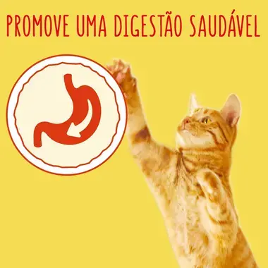 3010470181953 FRISKIES Peixe Branco e Atum - Gato Seco