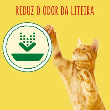 3222270158428, 7613032918729 FRISKIES Indoor Frango e Peru - Gato Seco