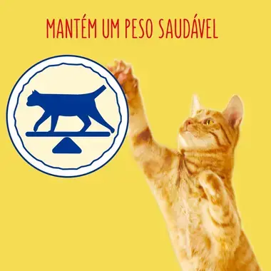 7613033477355, 7613287136527 FRISKIES Esterilizado Salmão e Atum - Gato Seco
