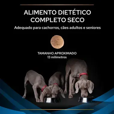 7613035156289 PRO PLAN Veterinary Diets Canine DRM Dermatosis