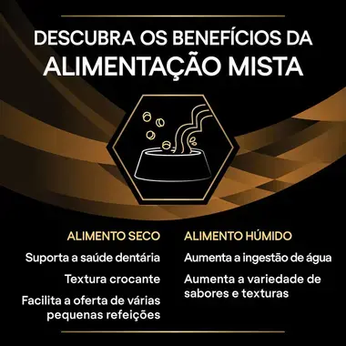 7613287873910 PRO PLAN VETERINARY DIETS Feline NF Renal Function ADVANCED CARE Saquetas com Salmão