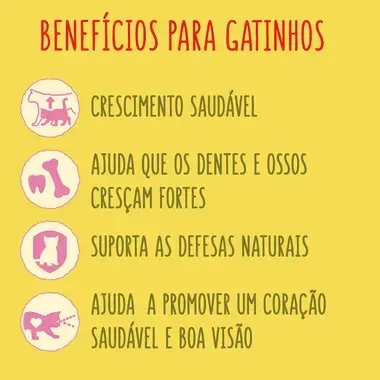 3010470158047, 8410168195562, 7613034394873 FRISKIES JUNIOR Frango com Leite - Gato Seco