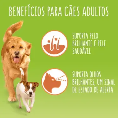 7613035834392 FRISKIES em Molho Borrego - Húmido Cão