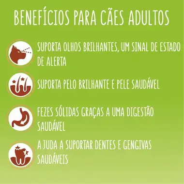 7613287217387, 7613287236838, 7613287237095, 7613032400163 FRISKIES DIGESTION Vaca e Borrego - Seco Cão
