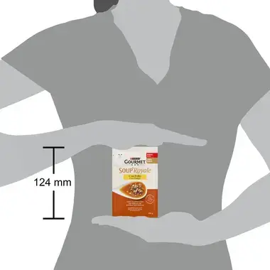 GOURMET Soup Royale Frango