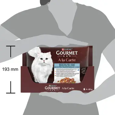 GOURMETTM A La Carte Receitas do Chefe I