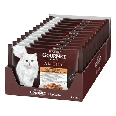 GOURMETTM A La Carte Receitas do Chefe II