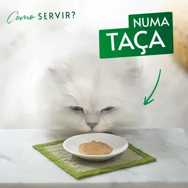 GOURMET Nature's Creations Snack Puré Com Salmão e uma pitada de Cenoura