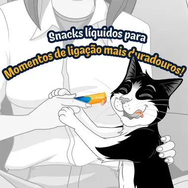 FELIX® Deli Moments™ snacks líquidos saborosos para gatos com frango saquetas 4x10g