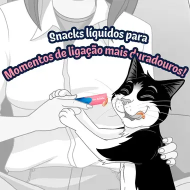 FELIX® Deli Moments™ Snacks líquidos saborosos para gatos com salmão saquetas 4x10g