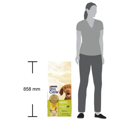 PURINA DOG CHOW Adult com Frango