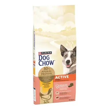 PURINA DOG CHOW Active com Frango