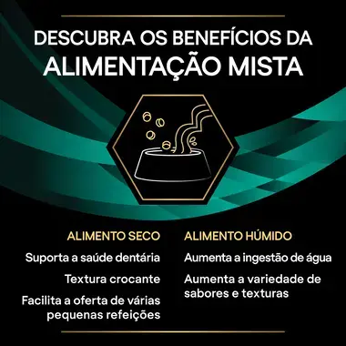 PRO PLAN VETERINARY DIETS Feline EN St/Ox Gastrointestinal Saquetas com Salmão