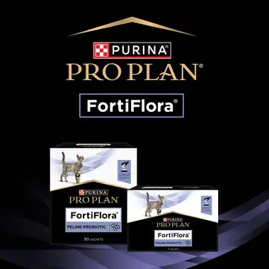 PRO PLAN Feline FortiFlora Gato