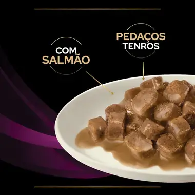 PRO PLAN VETERINARY DIETS Feline UR St/Ox Urinary Saquetas com Salmão