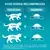 PURINA ONE Senior 11+, Rico em Frango e Cereais Integrais