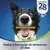 PURINA DENTALIFE Snack para Cão Adulto Mini