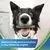 PURINA DENTALIFE ActivFresh para cães de porte médio