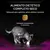 PRO PLAN VETERINARY DIETS Feline UR St/Ox Urinary com Peixe do Oceano