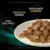 PRO PLAN VETERINARY DIETS Feline EN St/Ox Gastrointestinal Saquetas com Salmão