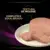 PRO PLAN VETERINARY DIETS Feline UR St/Ox Urinary Mousse