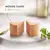 GOURMET Gold Mousse com Salmão