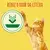 3222270158428, 7613032918729 FRISKIES Indoor Frango e Peru - Gato Seco