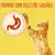 7613033269707, 7613033279430, 7613033282942 FRISKIES Atum e Legumes - Gato Seco