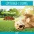 7613033772627 FRISKIES LIGHT Frango - Seco Cão