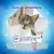 PURINA DENTALIFE Snack Dentário com Salmão para gato