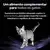 PRO PLAN Feline FortiFlora Gato