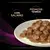 PRO PLAN VETERINARY DIETS Feline UR St/Ox Urinary Saquetas com Salmão