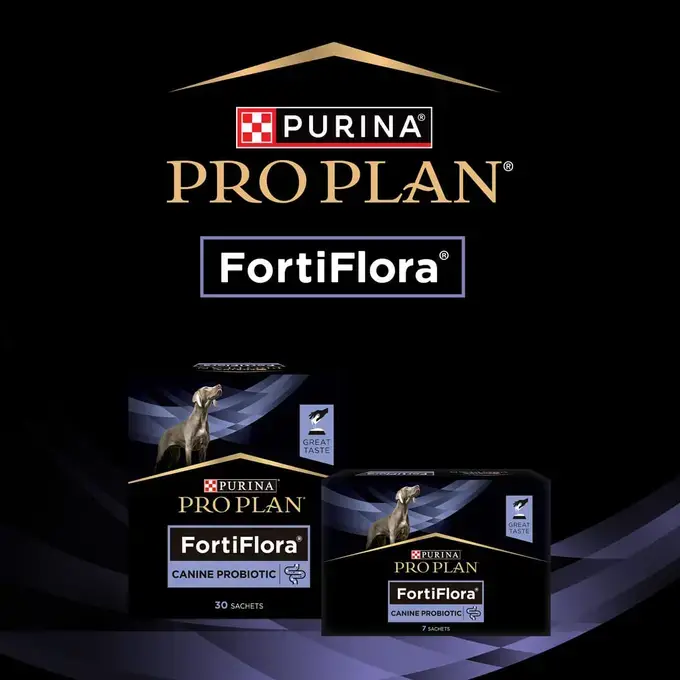 【ki-de-chi様確認用】FortiFlora 10包×18箱（180日分） PRO PLAN Canine FortiFlora cães | Purina PT