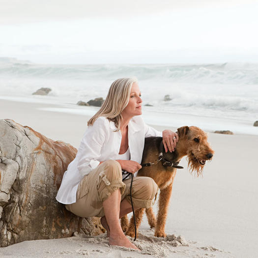 Airedale Terrier na praia com pessoa.