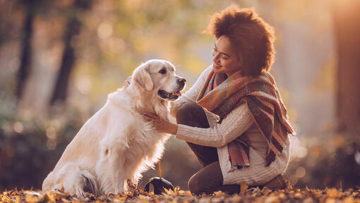 Mulheres com golden retriever no parque