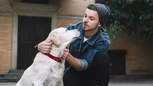 cachorro a olhar para o jovem dono