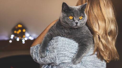 Mulher  a segurar seu animal de estimação gato British Shorthair