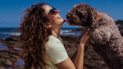 Cachorro beijando seu dono