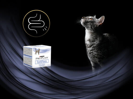 Pro Plan® FortiFlora para GATO
