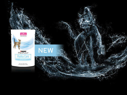 Pro Plan® Veterinary Diets para GATO